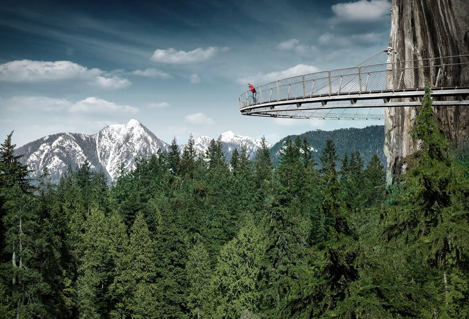Capilano Suspension Bridge Park
