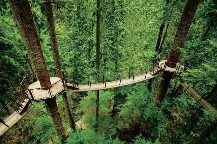 Capilano Suspension Bridge Park