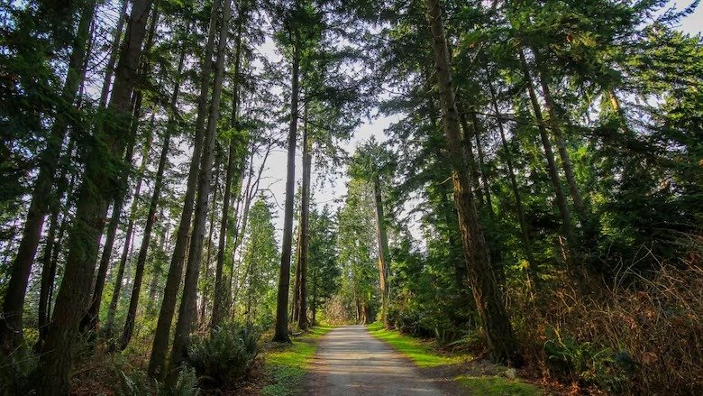 Pacific Spirit Regional Park