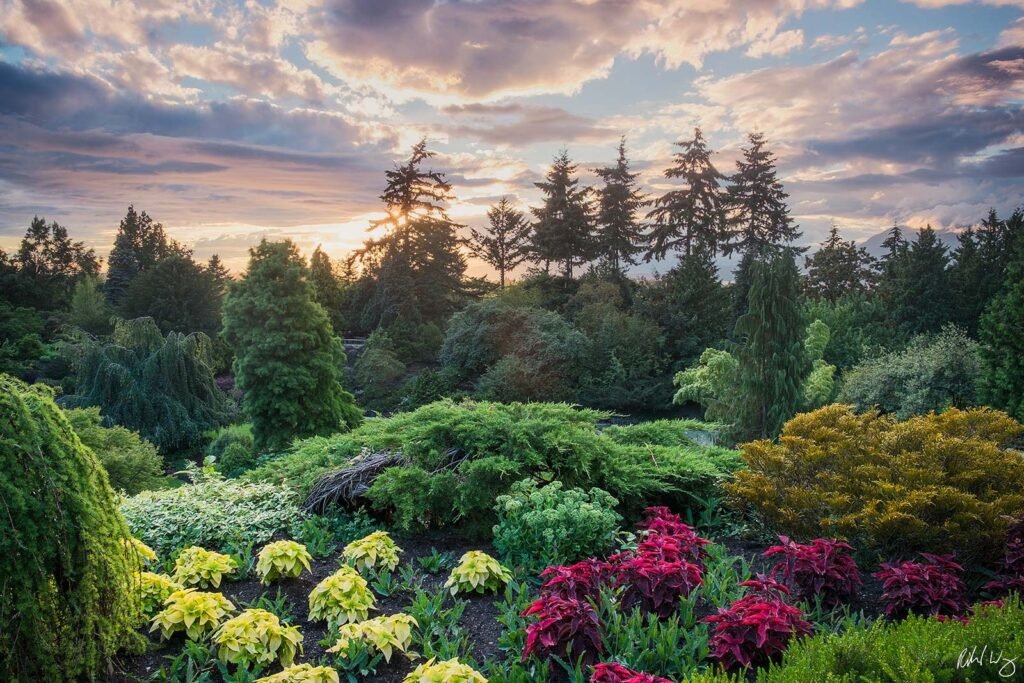 Queen Elizabeth Park’s Secret Garden