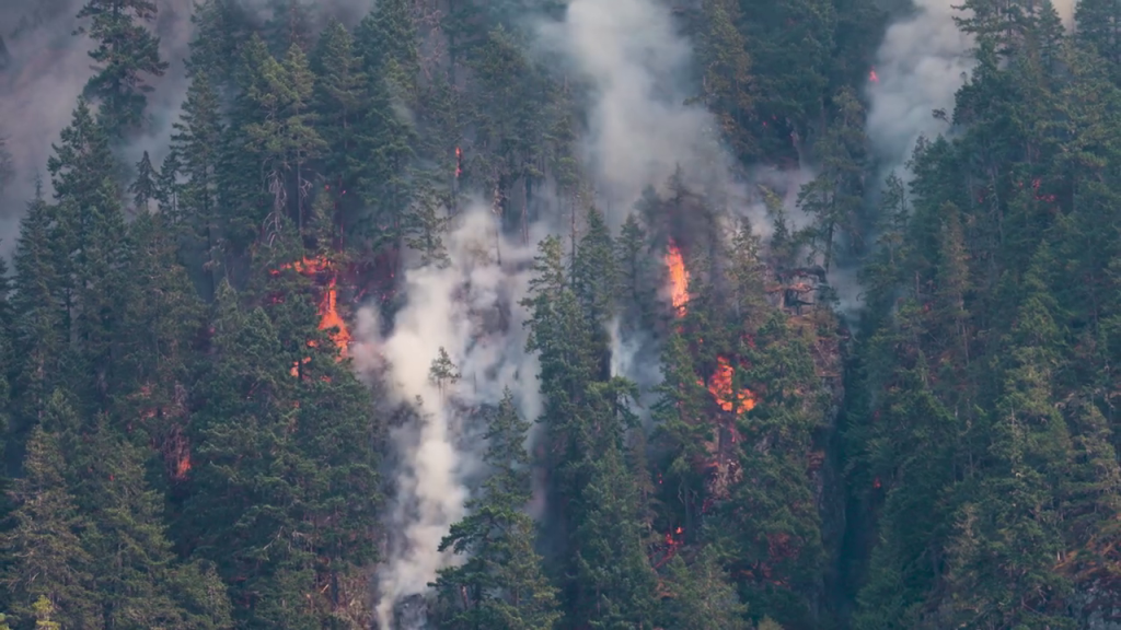 Rainfall slows Port Alberni wildfire spread Rainfall slows Port Alberni wildfire spread