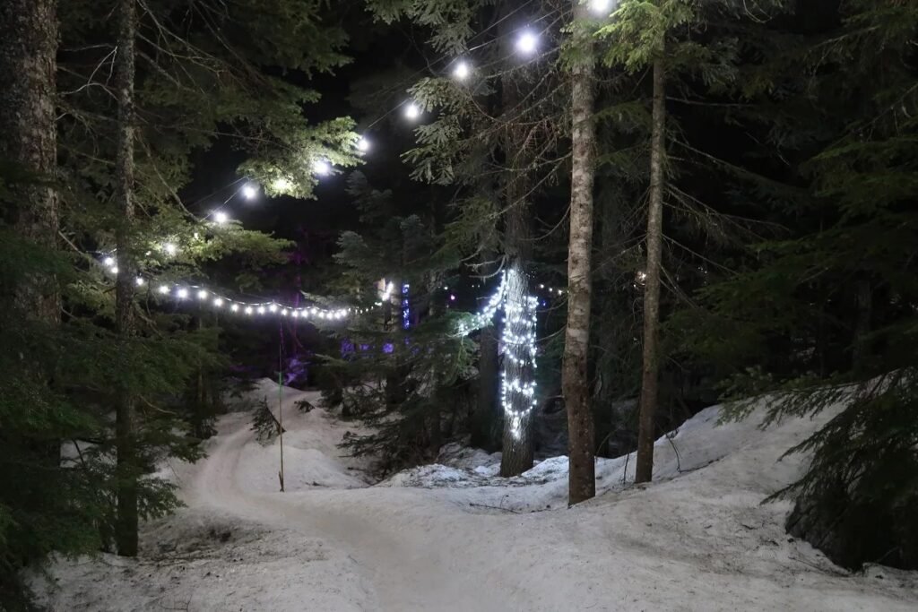 Snowshoeing on Cypress Mountain