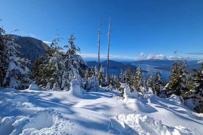 Snowshoeing on Cypress Mountain