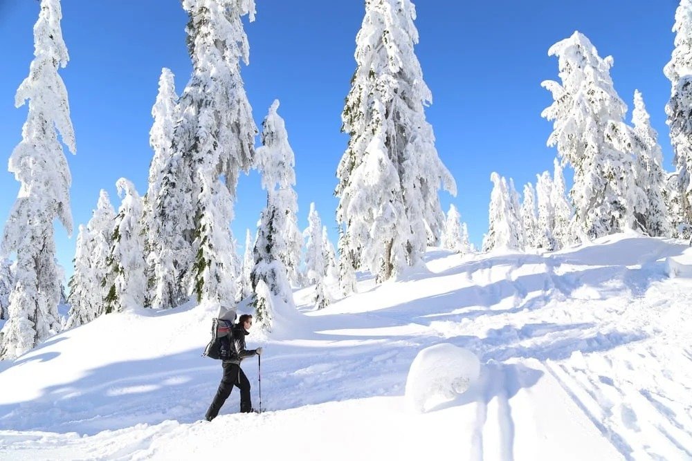 Snowshoeing on Cypress Mountain
