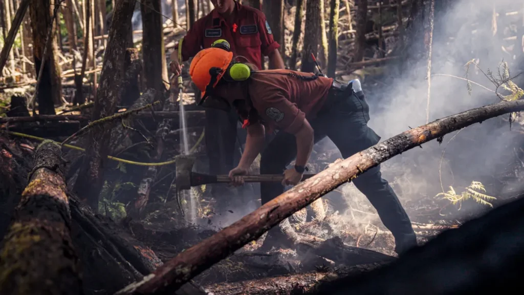 Four New Wildfires on Vancouver Island After Lightning Strikes