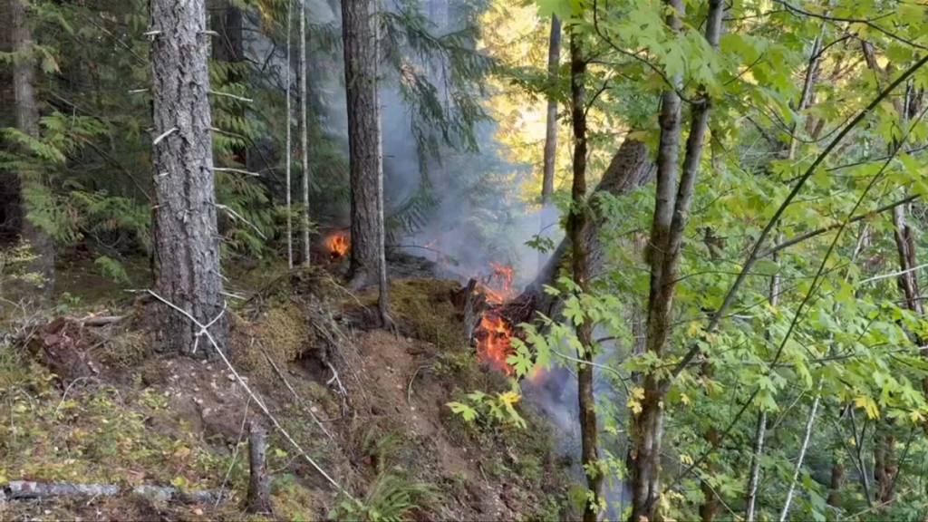 Port Alberni Wildfire Now Being Held